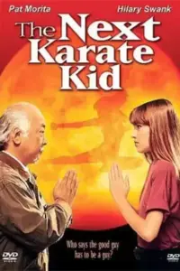 The Next Karate Kid (1994) Dual Audio {Hindi-English} 480p | 720p | 1080p