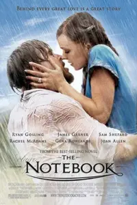 The Notebook (2004) BluRay Dual Audio 480p | 720p | 1080p