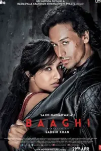 Baaghi (2016) Hindi Full Movie 480p | 720p | 1080p