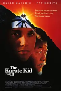 The Karate Kid Part 3 (1989) Dual Audio {Hindi-English} 480p | 720p | 1080p