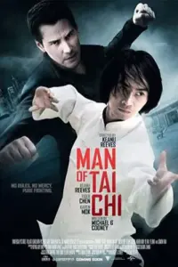 Man of Tai Chi (2013) Hindi Dubbed Full Movie 480p | 720p | 1080p