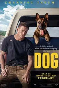 Dog (2022) Dual Audio {Hindi ORG. Dubbed + English} WeB-DL 480p | 720p | 1080p