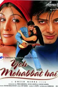 Yeh Mohabbat Hai (2002) Hindi Full Movie WEB-DL 480p | 720p