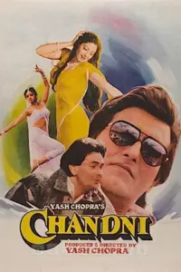 Chandni (1989) Hindi Full Movie WEB-DL 480p | 720p | 1080p