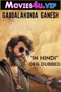 Gaddalakonda Ganesh (2019) WEB-DL Full Movie 480p | 720p | 1080p