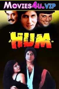 Hum (1991) Hindi Full Movie WEB-DL 480p | 720p | 1080p