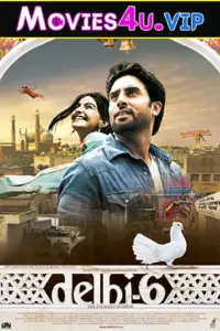 Delhi 6 (2009) Hindi Full Movie WEB-DL 480p | 720p | 1080p