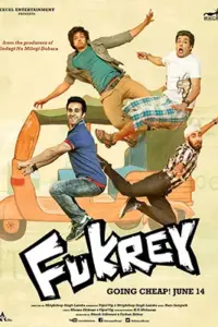 Fukrey (2013) Hindi Movie WEB-DL 480p | 720p | 1080p