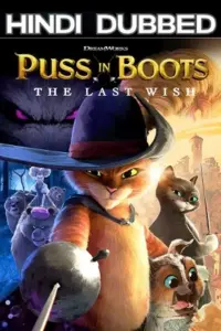 Puss in Boots: The Last Wish (2022) Dual Audio {Hindi + English } AMZN BluRay 480p | 720p | 1080p