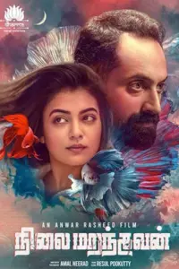 Nilai Marandhavan (2023) WEB-DL Dual Audio Full Movie 480p | 720p | 1080p