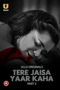 Tere Jaisa Yaar Kaha (2023) S01 Part 2 Hindi ULLU Originals Complete WEB Series 480p | 720p | 1080p WEB-DL