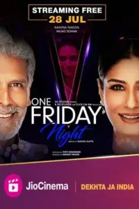 One Friday Night (2023) Hindi DDP5.1 JC WEB-DL 480p | 720p | 1080p