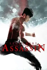 Legendary Assassin (2008) BluRay Dual Audio {Hindi-English} 480p | 720p