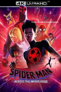 Spider-Man: Across the Spider-Verse (2023) BluRay Dual Audio {Hindi-English} 480p | 720p | 1080p | 2160p 4K SDR