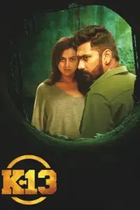 K 13 (2019) UNCUT Dual Audio WEB-DL 480p | 720p | 1080p