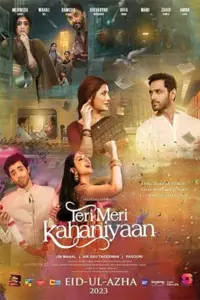 Teri Meri Kahaniyaan (2023) WEB-DL Urdu Full Movie 480p | 720p | 1080p