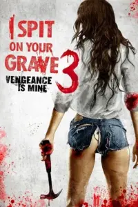 I Spit on Your Grave 3: Vengeance Is Mine (2015) BluRay Dual Audio {Hindi-English} 480p | 720p | 1080p