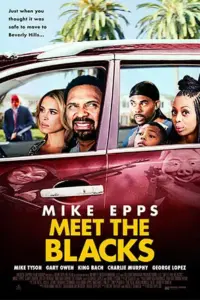 Meet the Blacks (2016) BluRay Dual Audio {Hindi-English} 480p | 720p | 1080p