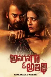 Anaganaga O Athidhi (2020) Dual Audio WEB-DL 480p | 720p | 1080p