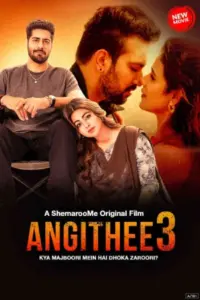 Angithee 3 (2024) Hindi Full Movie WEB-DL 480p | 720p | 1080p