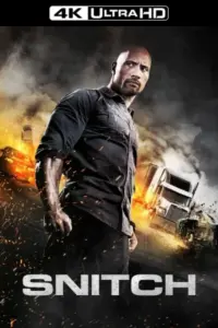 Snitch (2013) BluRay Dual Audio 480p | 720p | 1080p | 2160p 4K