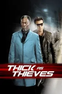 Thick as Thieves (2009) BluRay Dual Audio {Hindi-English} 480p | 720p | 1080p