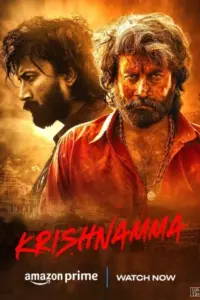 Krishnamma (2024) WEB-DL Multi Audio Full Movie 480p | 720p | 1080p