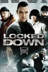 Locked Down (2010) BluRay Dual Audio Full Movie 480p | 720p | 1080p