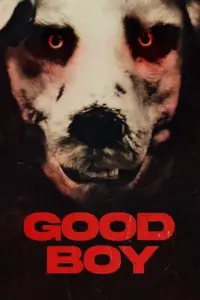 Good Boy (2022) Dual Audio Blu-Ray 480p | 720p | 1080p