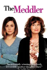 The Meddler (2015) BluRay Dual Audio Full Movie 480p | 720p | 1080p